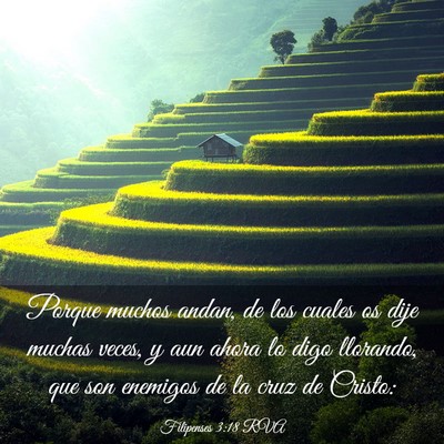Picture 03 - Filipenses 3:18 RVA - Porque muchos andan, de los cuales os dije muchas - Bible Verse Picture