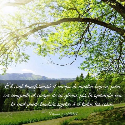 Picture 03 - Filipenses 3:21 RVA - El cual transformará el cuerpo de nuestra - Bible Verse Picture