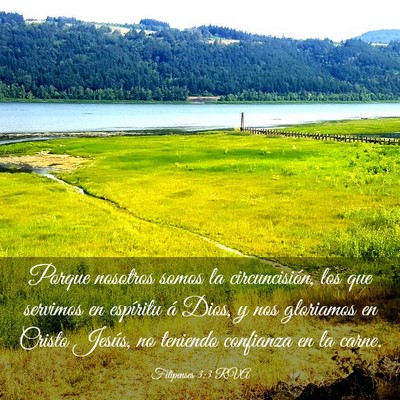 Picture 03 - Filipenses 3:3 RVA - Porque nosotros somos la circuncisión, los que - Bible Verse Picture