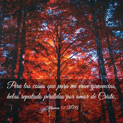 Picture 03 - Filipenses 3:7 RVA - Pero las cosas que para mí eran ganancias, helas - Bible Verse Picture