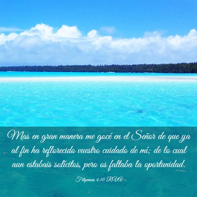 Picture 03 - Filipenses 4:10 RVA - Mas en gran manera me gocé en el Señor de que - Bible Verse Picture