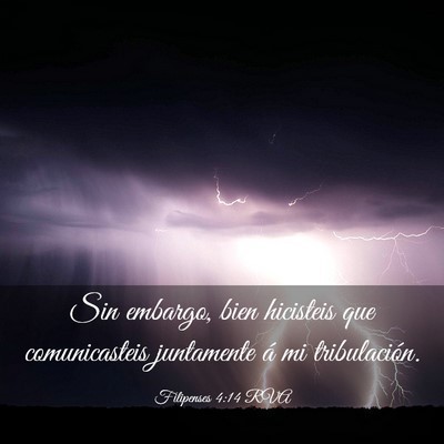 Picture 03 - Filipenses 4:14 RVA - Sin embargo, bien hicisteis que comunicasteis - Bible Verse Picture