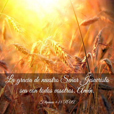 Picture 03 - Filipenses 4:23 RVA - La gracia de nuestro Señor Jesucristo sea con - Bible Verse Picture