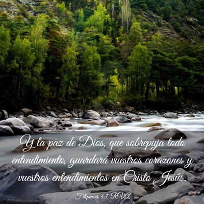 Picture 03 - Filipenses 4:7 RVA - Y la paz de Dios, que sobrepuja todo - Bible Verse Picture