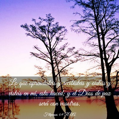 Picture 03 - Filipenses 4:9 RVA - Lo que aprendisteis y recibisteis y oísteis y - Bible Verse Picture