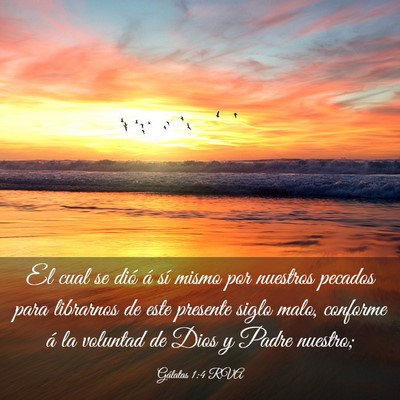 Picture 03 - Gálatas 1:4 RVA - El cual se dió á sí mismo por nuestros pecados - Bible Verse Picture