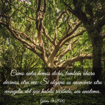 Picture 03 - Gálatas 1:9 RVA - Como antes hemos dicho, también ahora decimos - Bible Verse Picture