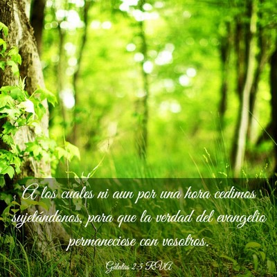 Picture 03 - Gálatas 2:5 RVA - A los cuales ni aun por una hora cedimos - Bible Verse Picture