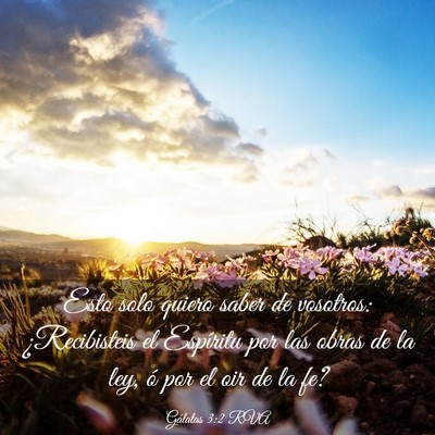Picture 03 - Gálatas 3:2 RVA - Esto solo quiero saber de vosotros: ¿Recibisteis - Bible Verse Picture