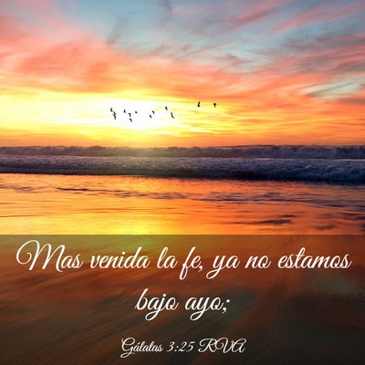 Picture 03 - Gálatas 3:25 RVA - Mas venida la fe, ya no estamos bajo - Bible Verse Picture