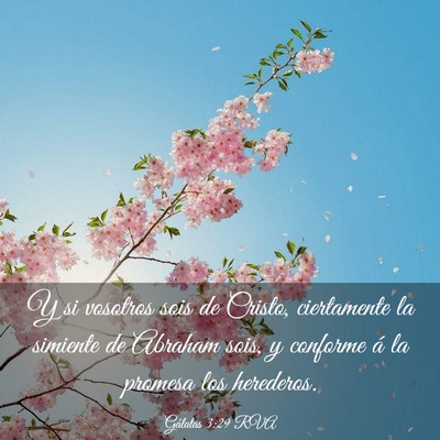 Picture 03 - Gálatas 3:29 RVA - Y si vosotros sois de Cristo, ciertamente la - Bible Verse Picture