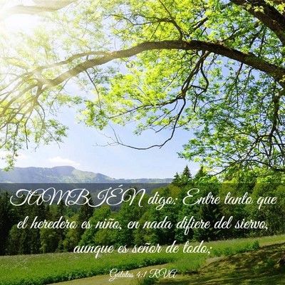 Picture 03 - Gálatas 4:1 RVA - TAMBIÉN digo: Entre tanto que el heredero es - Bible Verse Picture