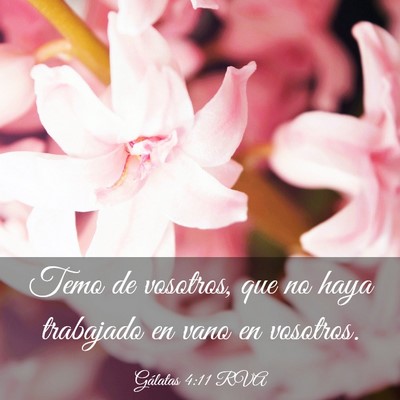 Picture 03 - Gálatas 4:11 RVA - Temo de vosotros, que no haya trabajado en vano - Bible Verse Picture