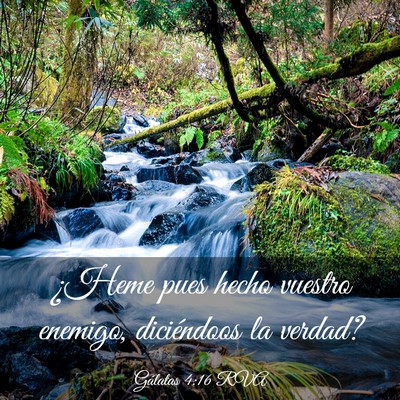Picture 03 - Gálatas 4:16 RVA - ¿Heme pues hecho vuestro enemigo, diciéndoos la - Bible Verse Picture