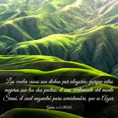 Picture 03 - Gálatas 4:24 RVA - Las cuales cosas son dichas por alegoría: porque - Bible Verse Picture