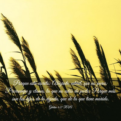 Picture 03 - Gálatas 4:27 RVA - Porque está escrito: Alégrate, estéril, que no - Bible Verse Picture