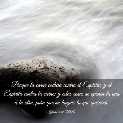 Picture 03 - Gálatas 5:17 RVA - Porque la carne codicia contra el Espíritu, y el - Bible Verse Picture