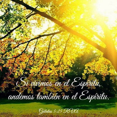 Picture 03 - Gálatas 5:25 RVA - Si vivimos en el Espíritu, andemos también en - Bible Verse Picture