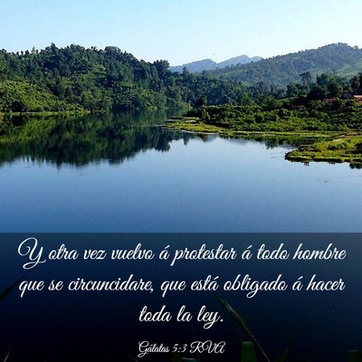 Picture 03 - Gálatas 5:3 RVA - Y otra vez vuelvo á protestar á todo hombre que - Bible Verse Picture