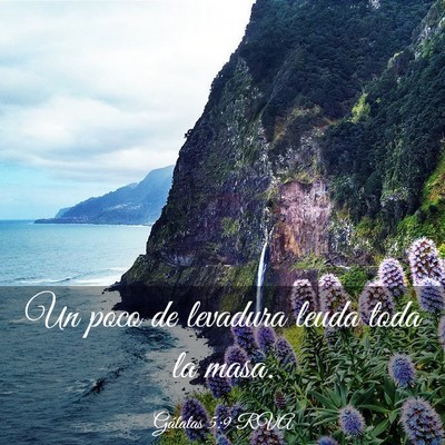 Picture 03 - Gálatas 5:9 RVA - Un poco de levadura leuda toda la - Bible Verse Picture