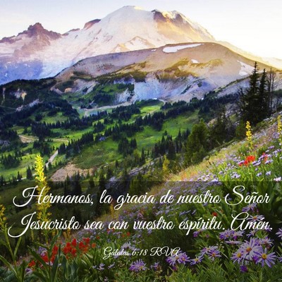Picture 03 - Gálatas 6:18 RVA - Hermanos, la gracia de nuestro Señor Jesucristo - Bible Verse Picture