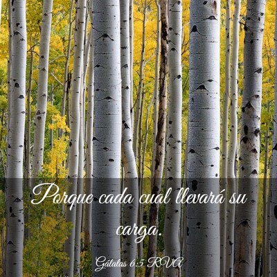 Picture 03 - Gálatas 6:5 RVA - Porque cada cual llevará su - Bible Verse Picture