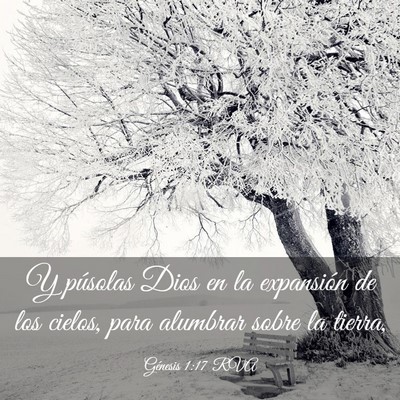 Picture 03 - Génesis 1:17 RVA - Y púsolas Dios en la expansión de los cielos, - Bible Verse Picture