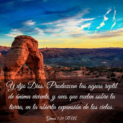 Picture 03 - Génesis 1:20 RVA - Y dijo Dios: Produzcan las aguas reptil de ánima - Bible Verse Picture
