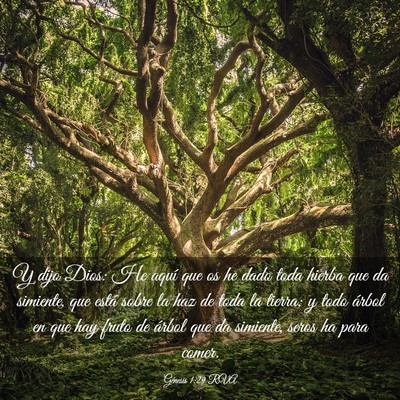 Picture 03 - Génesis 1:29 RVA - Y dijo Dios: He aquí que os he dado toda hierba - Bible Verse Picture