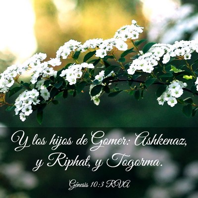 Picture 03 - Génesis 10:3 RVA - Y los hijos de Gomer: Ashkenaz, y Riphat, y - Bible Verse Picture