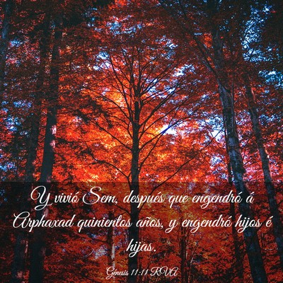 Picture 03 - Génesis 11:11 RVA - Y vivió Sem, después que engendró á Arphaxad - Bible Verse Picture