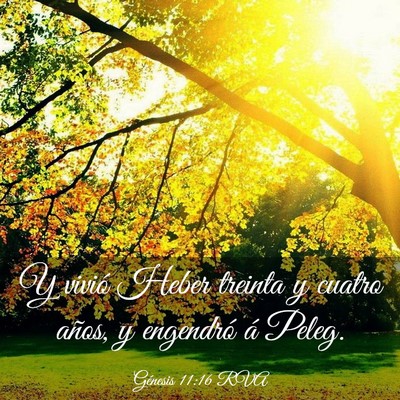 Picture 03 - Génesis 11:16 RVA - Y vivió Heber treinta y cuatro años, y - Bible Verse Picture