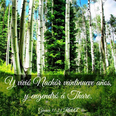 Picture 03 - Génesis 11:24 RVA - Y vivió Nachôr veintinueve años, y engendró - Bible Verse Picture