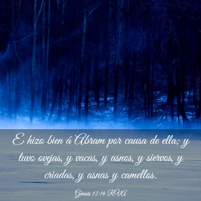 Picture 03 - Génesis 12:16 RVA - E hizo bien á Abram por causa de ella; y tuvo - Bible Verse Picture