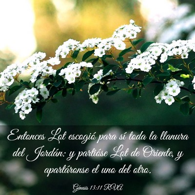 Picture 03 - Génesis 13:11 RVA - Entonces Lot escogió para sí toda la llanura - Bible Verse Picture