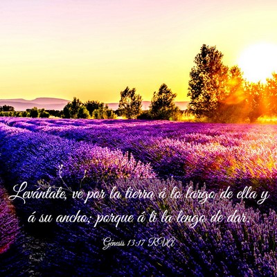 Picture 03 - Génesis 13:17 RVA - Levántate, ve por la tierra á lo largo de ella - Bible Verse Picture