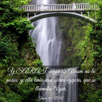 Picture 03 - Génesis 16:1 RVA - Y SARAI, mujer de Abram no le paría: y ella - Bible Verse Picture