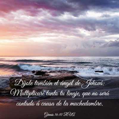 Picture 03 - Génesis 16:10 RVA - Díjole también el ángel de Jehová: - Bible Verse Picture