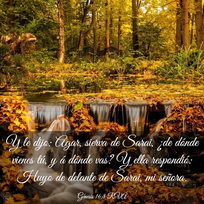 Picture 03 - Génesis 16:8 RVA - Y le dijo: Agar, sierva de Sarai, ¿de dónde - Bible Verse Picture