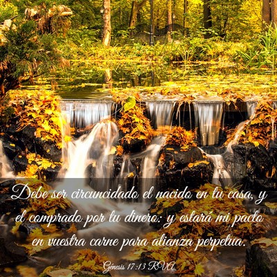 Picture 03 - Génesis 17:13 RVA - Debe ser circuncidado el nacido en tu casa, y el - Bible Verse Picture