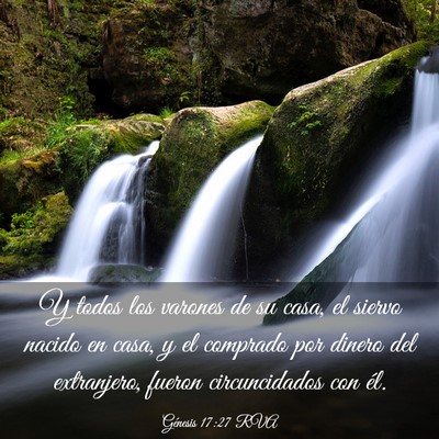 Picture 03 - Génesis 17:27 RVA - Y todos los varones de su casa, el siervo nacido - Bible Verse Picture