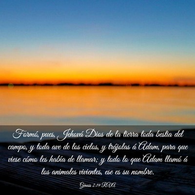 Picture 03 - Génesis 2:19 RVA - Formó, pues, Jehová Dios de la tierra toda - Bible Verse Picture