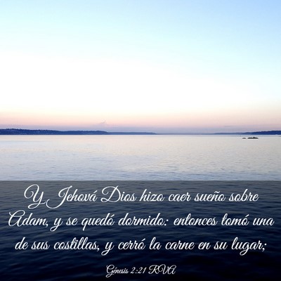 Picture 03 - Génesis 2:21 RVA - Y Jehová Dios hizo caer sueño sobre Adam, y se - Bible Verse Picture