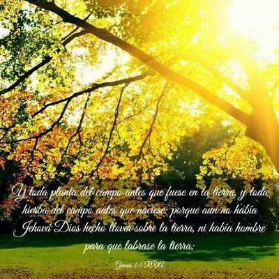 Picture 03 - Génesis 2:5 RVA - Y toda planta del campo antes que fuese en la - Bible Verse Picture