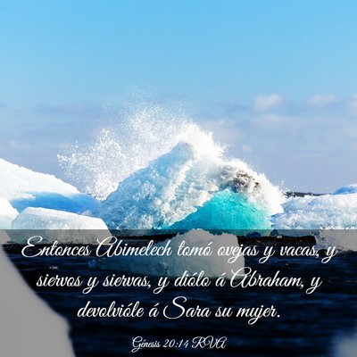 Picture 03 - Génesis 20:14 RVA - Entonces Abimelech tomó ovejas y vacas, y - Bible Verse Picture