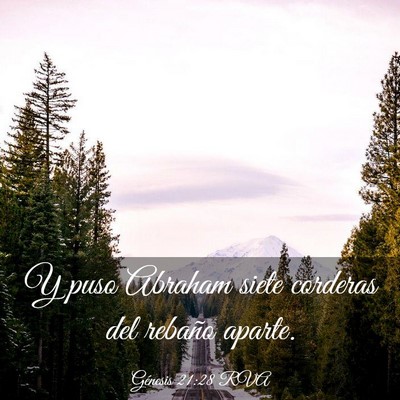 Picture 03 - Génesis 21:28 RVA - Y puso Abraham siete corderas del rebaño - Bible Verse Picture