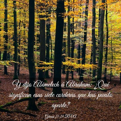 Picture 03 - Génesis 21:29 RVA - Y dijo Abimelech á Abraham: ¿Qué significan - Bible Verse Picture