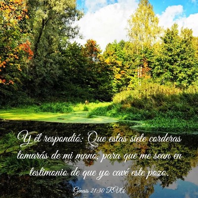 Picture 03 - Génesis 21:30 RVA - Y él respondió: Que estas siete corderas - Bible Verse Picture