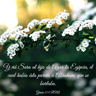 Picture 03 - Génesis 21:9 RVA - Y vió Sara al hijo de Agar la Egipcia, el cual - Bible Verse Picture