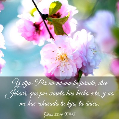 Picture 03 - Génesis 22:16 RVA - Y dijo: Por mí mismo he jurado, dice Jehová, - Bible Verse Picture